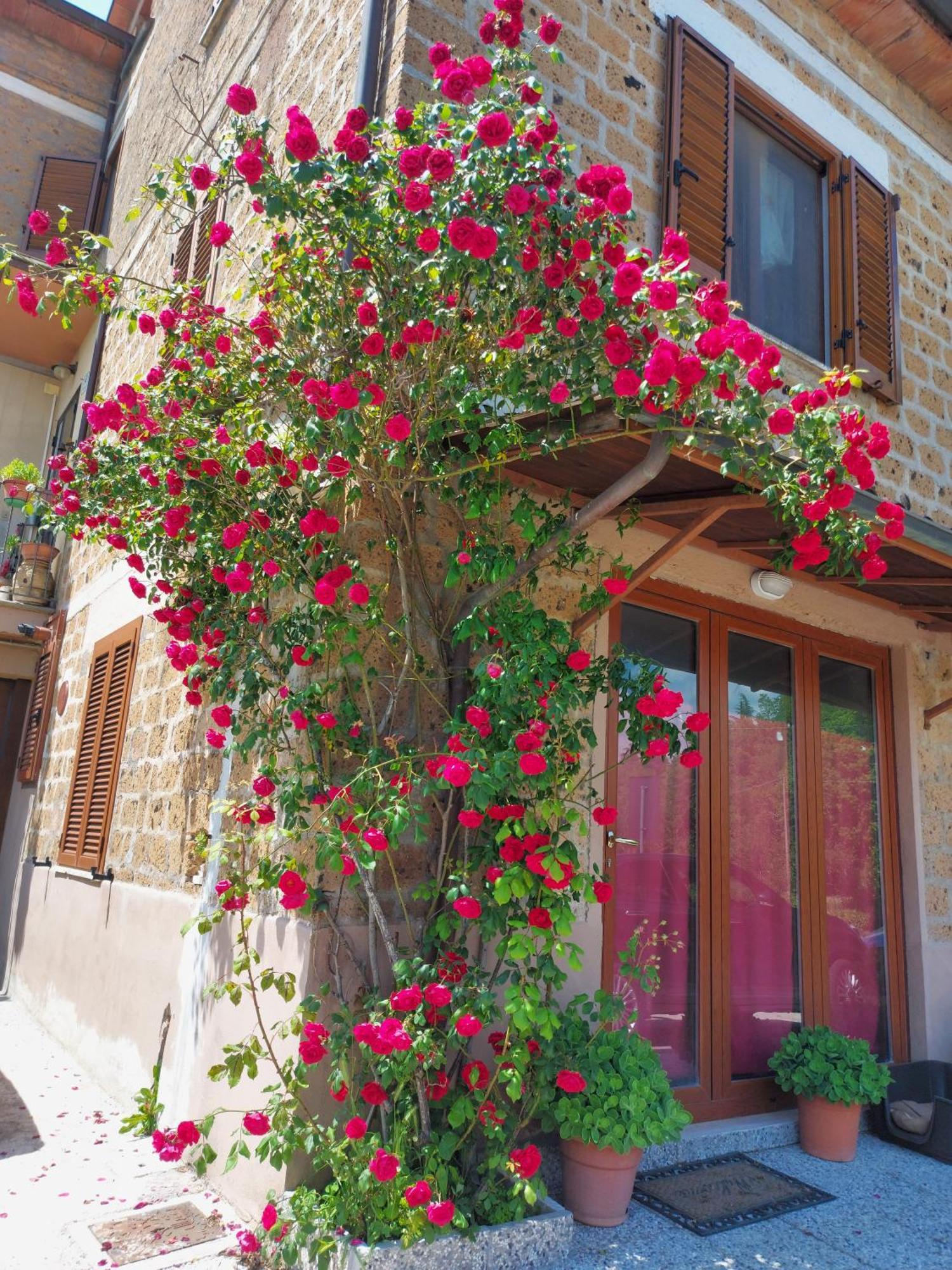 Apartment Il Mandolino Tra E Bolsena Orvieto