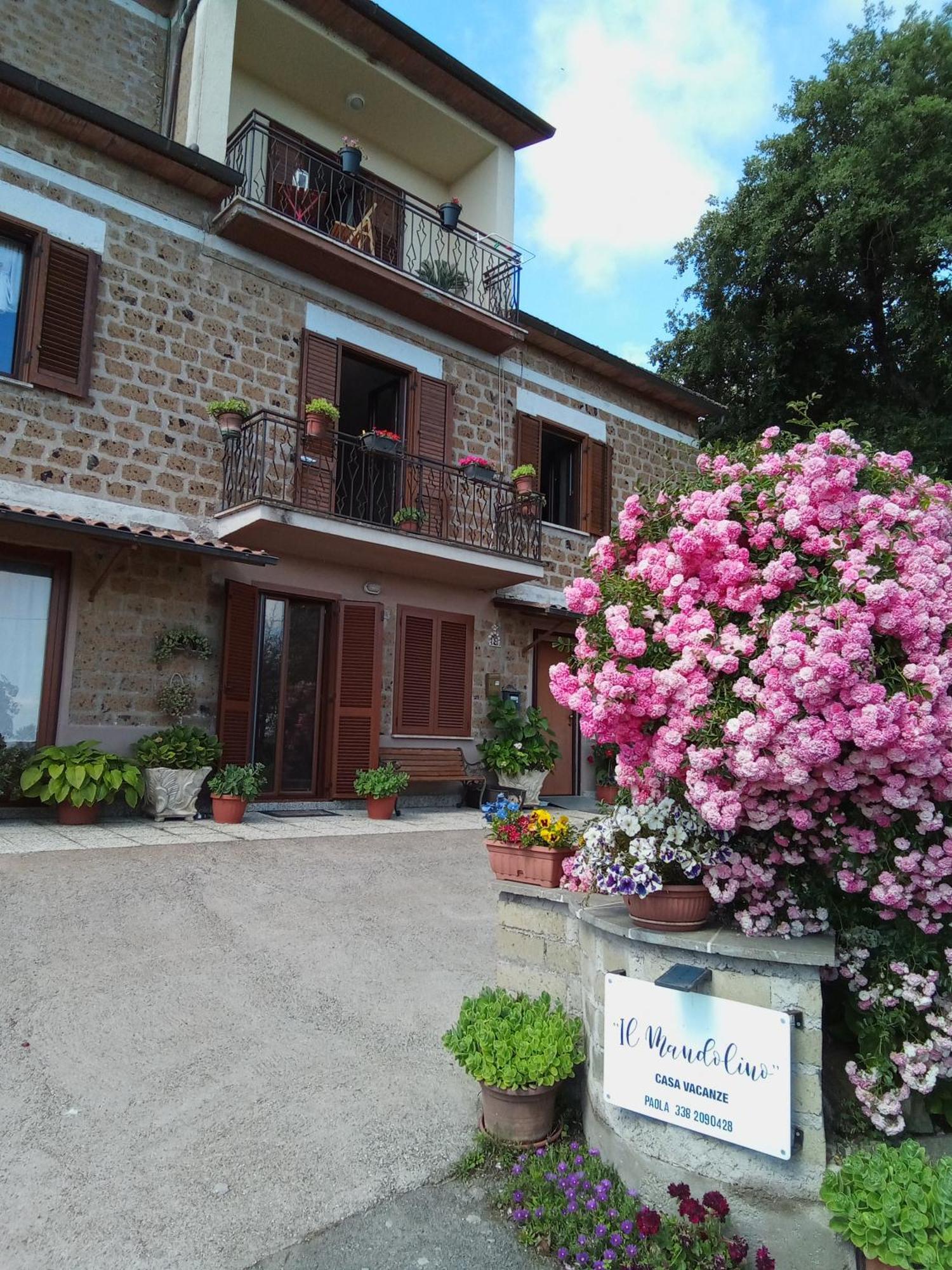 Il Mandolino Tra E Bolsena